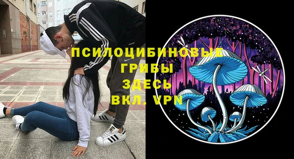 сатива Абинск