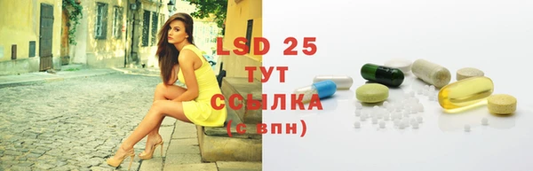 гашик Ладушкин