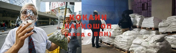 шишки Балабаново