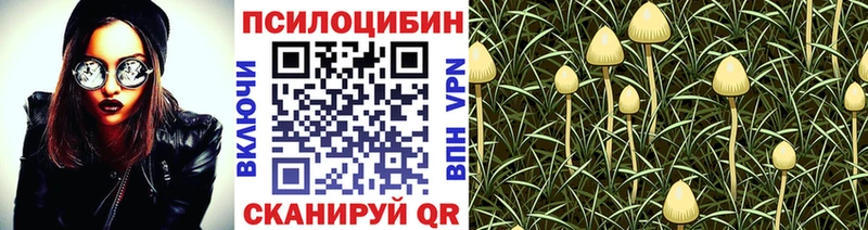Псилоцибиновые грибы мицелий Уржум